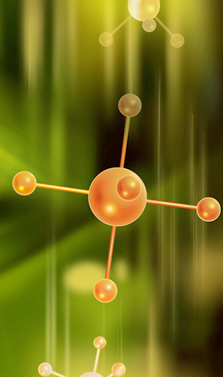 福星惠譽地產(chǎn)